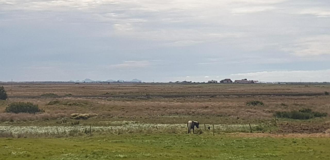 Efri-Gegnisholar Hotell Selfoss Eksteriør bilde